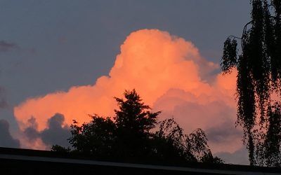 ¿Son todas las religiones básicamente lo mismo?