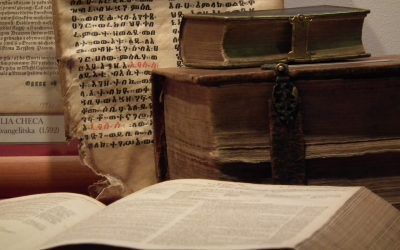 ¿Puede cada uno interpretar la Biblia a su modo?