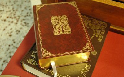 ¿Qué importancia tiene la palabra de Dios?