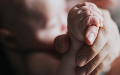 ¿Es María la madre de Dios?