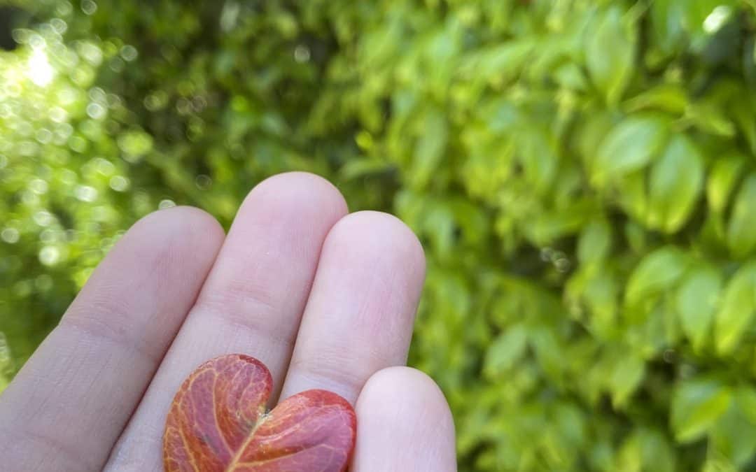 ¿Cómo es el amor de Dios?